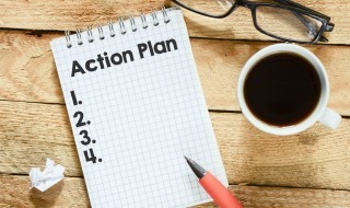 Action plan