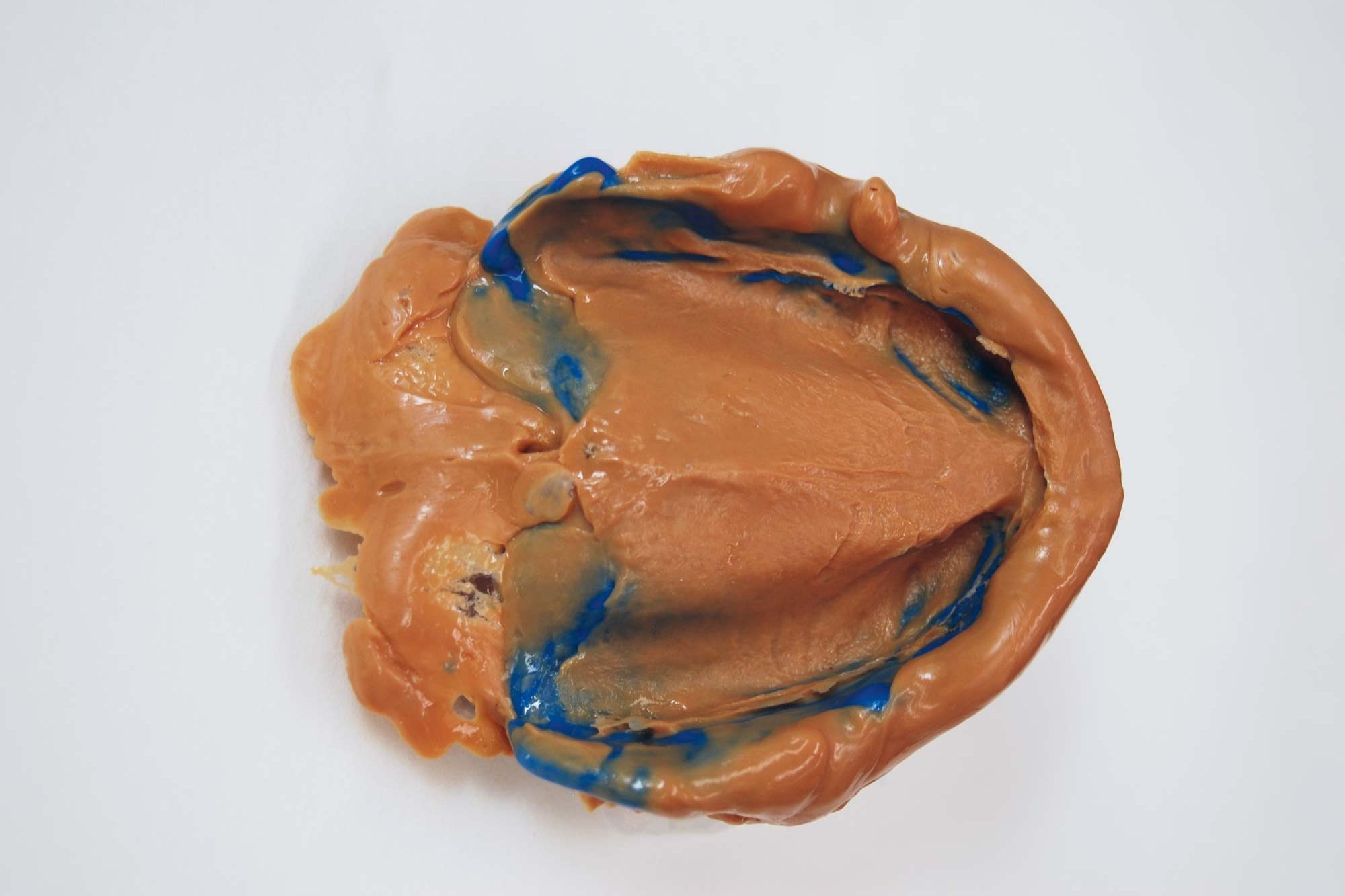 tw_2020_05_fb_grunert_011-copia