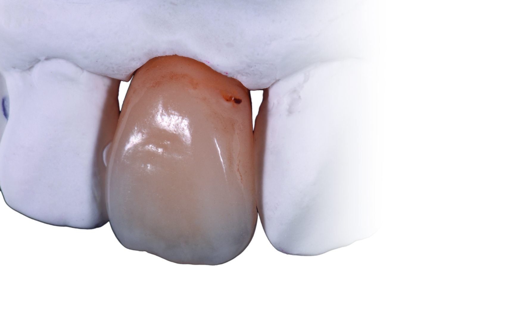 dd_2020_09_zt_kisel_012 copia