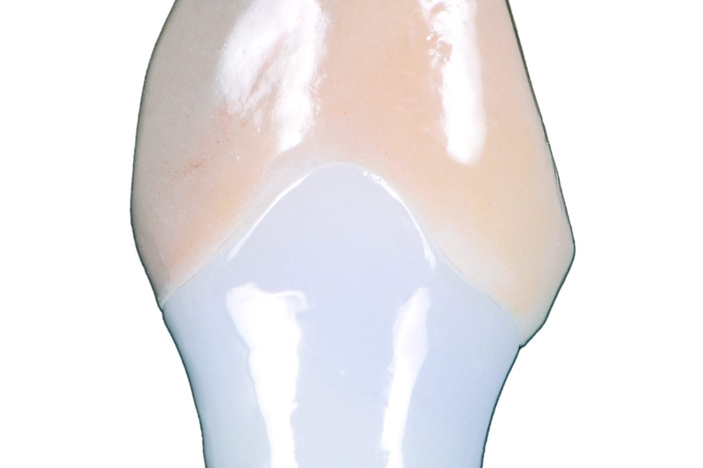 dd_2020_09_zt_kisel_013 copia