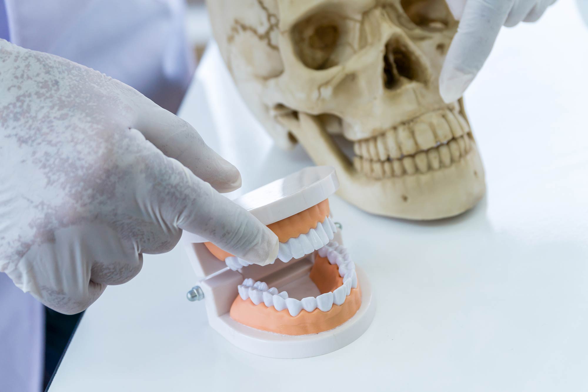 Katherine Pearce talks about her role and experiences in forensic dentistry